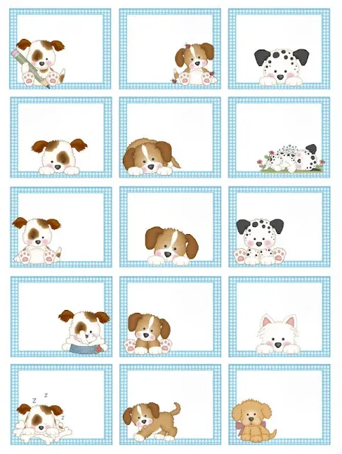 Immagine5 small doggy