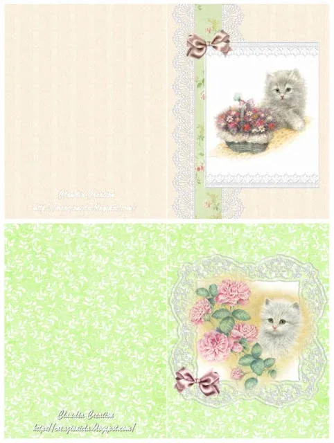 cat card cl01