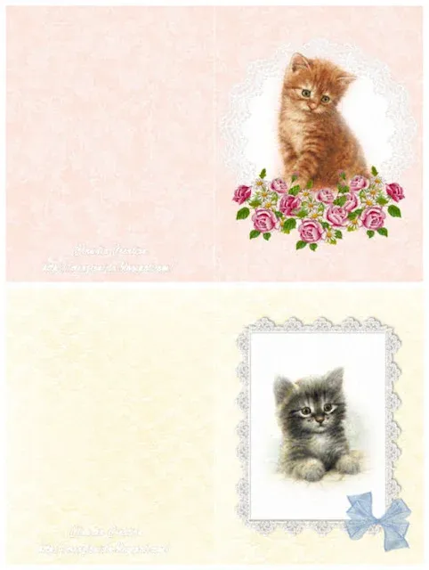 cat card cl05