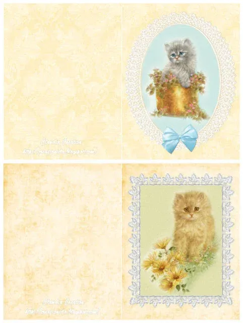cat card cl06