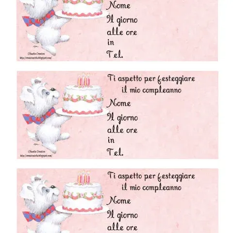 Inviti festa femminuccie