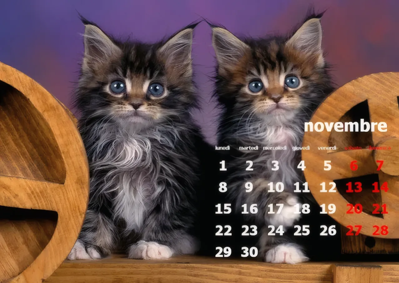 Calendari Novembre 2010 per Desktop — immagine 1