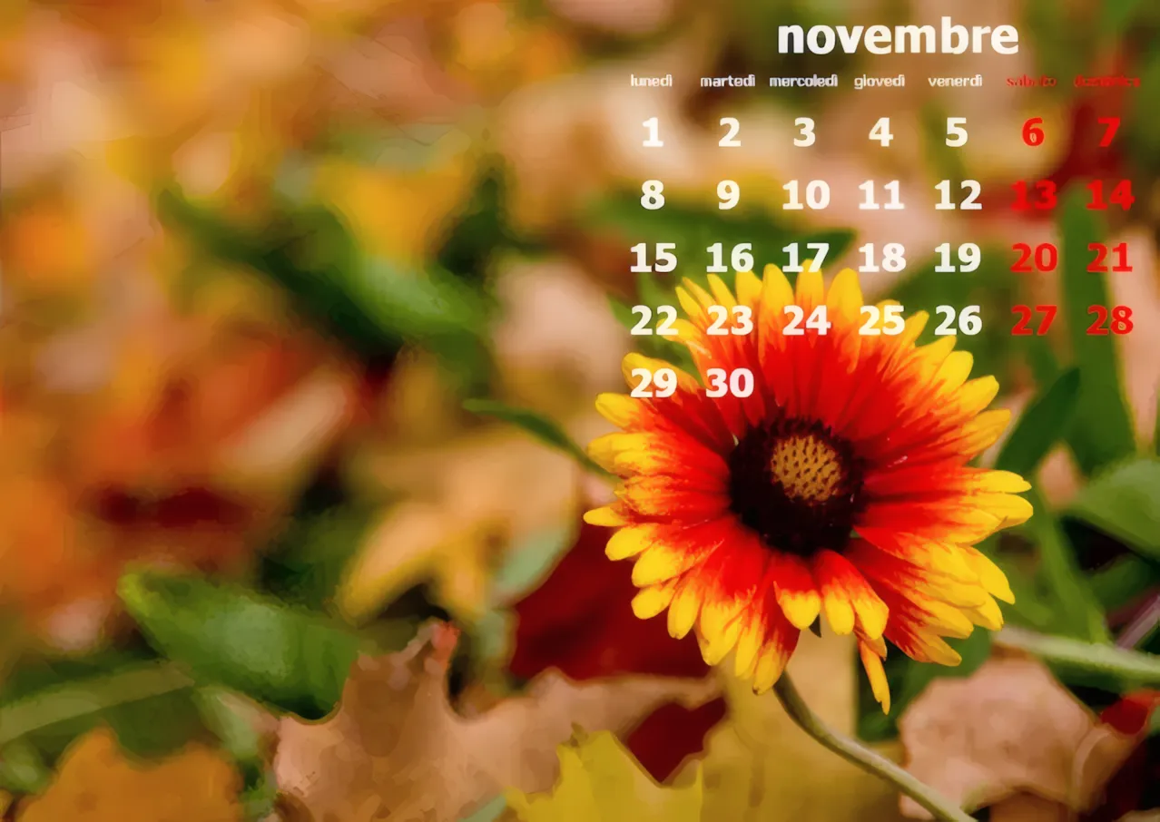 Calendari Novembre 2010 per Desktop — immagine 2